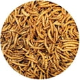 thumbnail image 2 of Exotic Nutrition Dried Mealworms 22 lb., 2 of 12