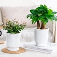 thumbnail image 4 of Self Watering Plant Pot Plastic Flower Pot with Water Reservoir Wick Ropes Modern Indoor Planter for Home Office Desktop, 4 of 8