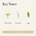 thumbnail image 4 of LAFCO New York Signature Reed Diffuser, Chamomile Lavender - 15 oz, 4 of 6