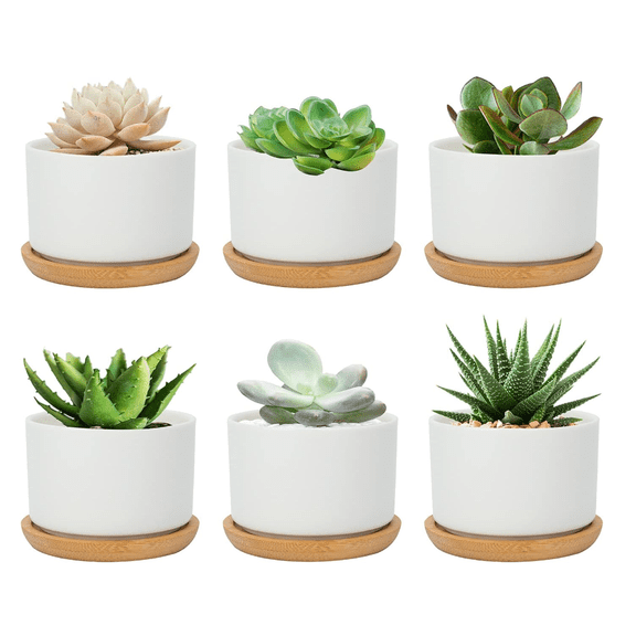 6 Pcs Succulent Pots, 3.2 in Ceramic Plant Pots with Wood Tray, Small Plant Pots Indoor for Home, Garden, Office Decor, Modern Round Planters, White