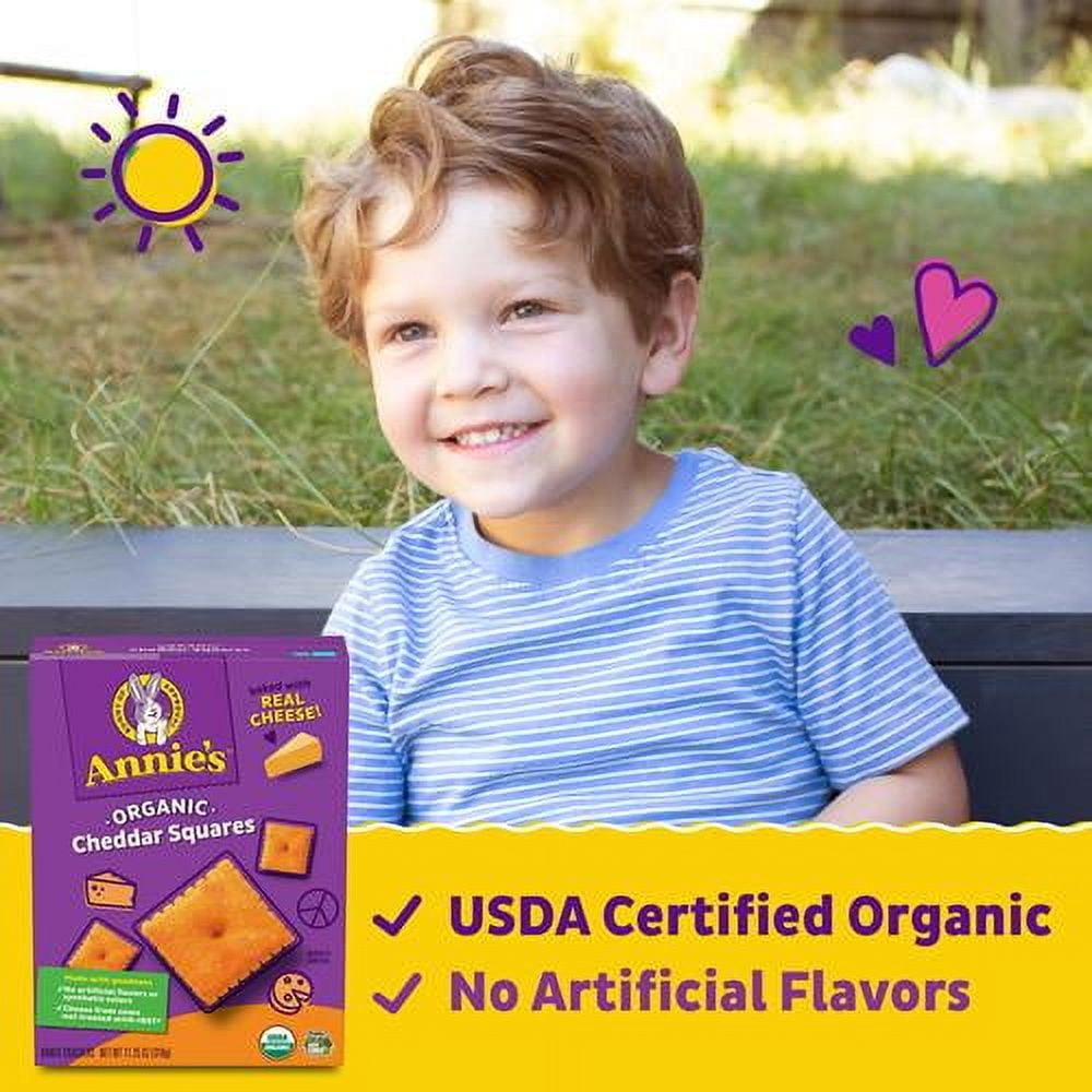 Annies Organic Original Cheddar Squares Baked Snack Crackers, Made With Real Cheese, 11.25 Oz - Pack of 2
