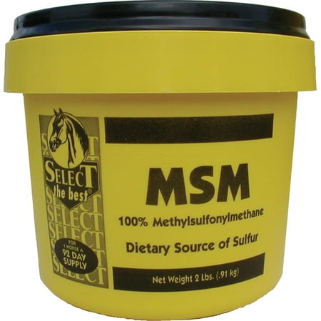 ANIMAL HEALTH INTERNATIONAL 400207 2LB MSM