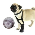 thumbnail image 4 of Drop Foot Brace for Dogs – Corrective Dog Shoes to Improve Walking Gait, Soft & Breathable Pet Footwear for Paw Support, Injury Recovery & Mobility Assistance, 4 of 7