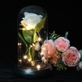 thumbnail image 2 of Rosa Eterna QUELIEN Rosas Blancas en Cúpula de Cristal - Regalo, 2 of 6