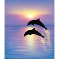 thumbnail image 2 of Dolphins Wall Mural by Wallmonkeys Peel and Stick Graphic (24 in H x 20 in W) WM21832, 2 of 4