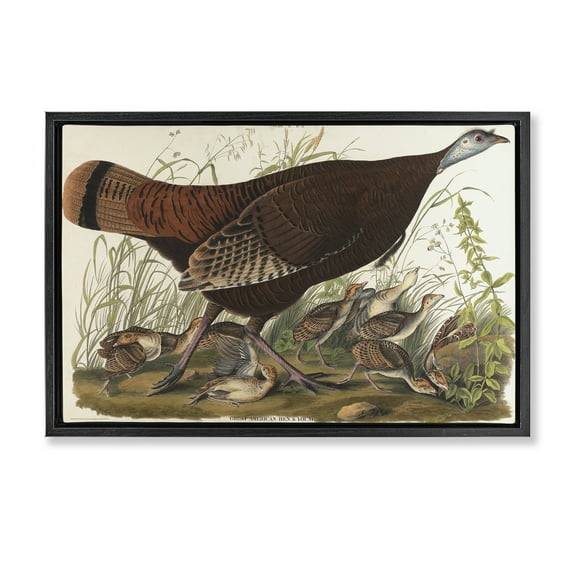 Stupell Industries Classic Great American Hen Animals Painting Black Floater Framed Canvas Art Print Wall Art, 25 x 17