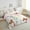 Brown Grey, variant on Colorful Butterfly Bedding Set,Cute Floral Butterfly Comforter Set,Rainbow Flower Leaf Plant Quilt Bed Set Wildlife Animal Print Bed Comforter