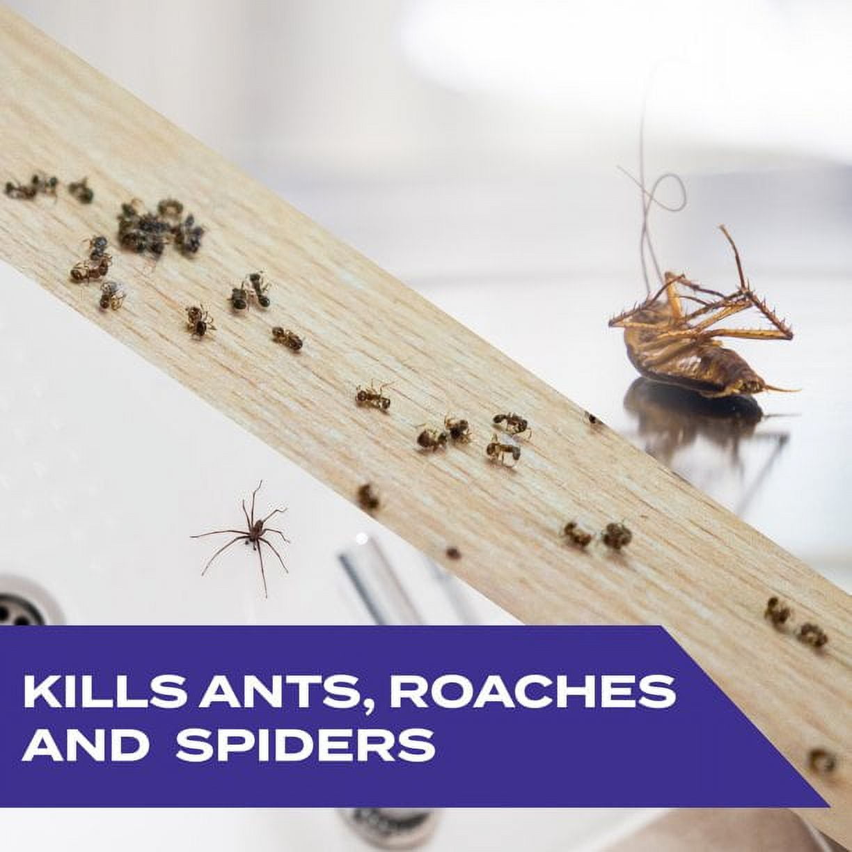 STEM Kills Ants, Roaches and Spiders ,plant-based active ingredient bug spray, botanical insecticide for indoor and outdoor use , 10 Ounce (Pack of 8)