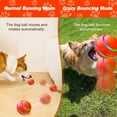 Pet Supplies Sale 2024 Interactive Dog Toys Active Dog With Remote