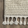 thumbnail image 5 of nuLOOM Ashton Shaggy Contemporary Abstract Tassel Area Rug, 3' x 5', Beige, 5 of 9
