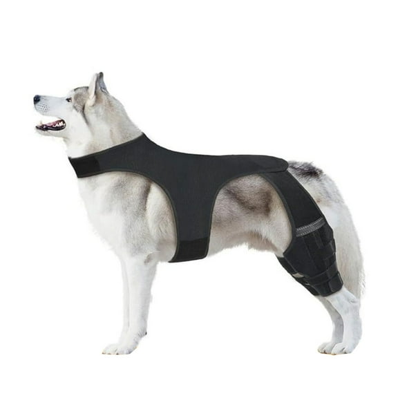Adjustable Pet Dog Knee Brace Sleeve for Back Leg Breathable Protective Wrap For Elderly Active Dog Joint