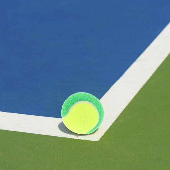 Masteelf 20pcs Dog Tennis Balls Mini Tennis Balls For Small Dog Pet Toy Rubber Training Toys For Puppy Pet Playing Exercise
