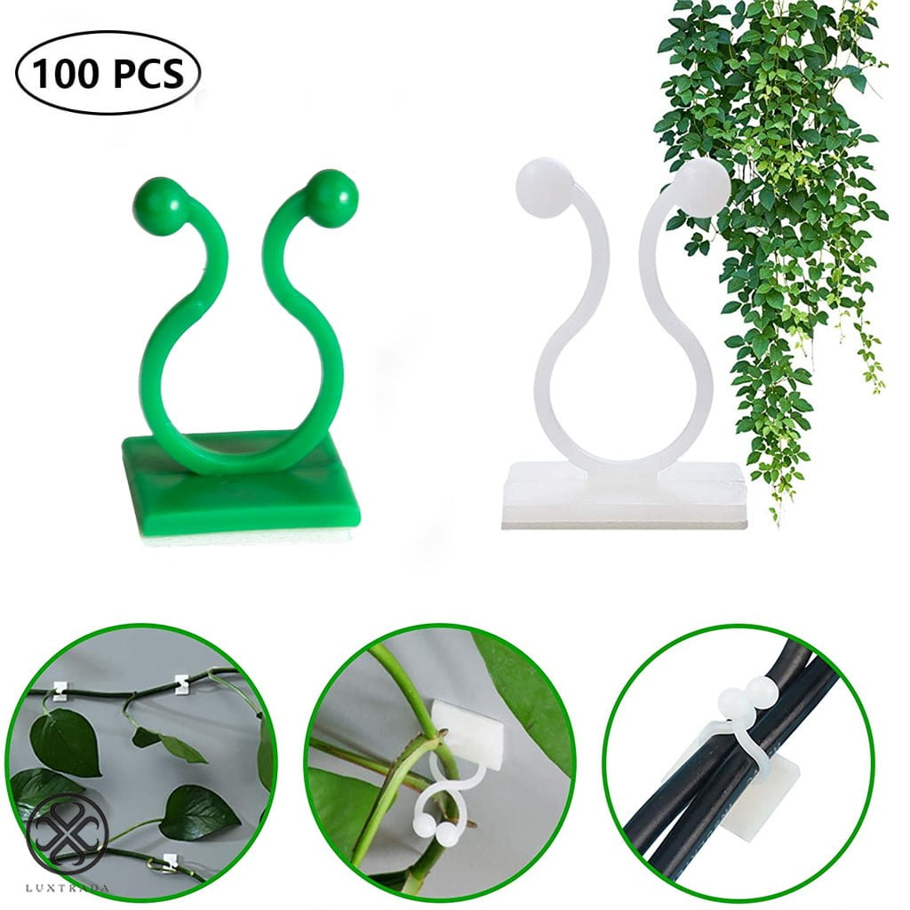 Plant Fixer,Plant Climbing Wall Fixture Clips Vine Plant 3M Invisible Fixer Self-Adhesive Hook fit for Home Office M-100PCS 