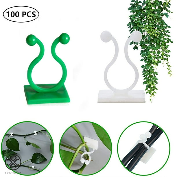 Luxtrada 100 Pcs Plant Climbing Wall Fixture Clips Vine Fixer Invisible SelfAdhesive Hook Plant
