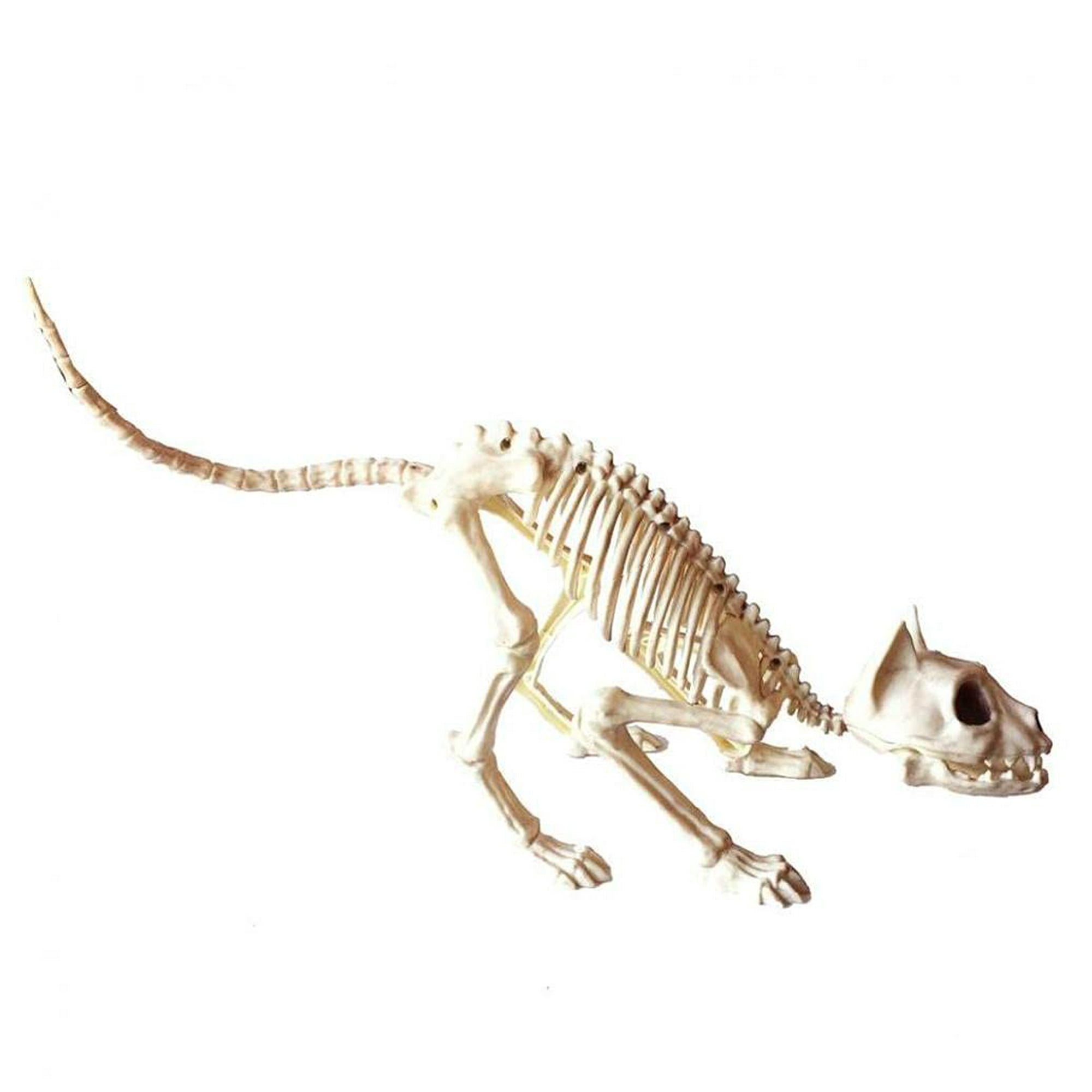 Halloween Bones Ornament Cat Skeleton Scary Model Creepy Animal Skull Decoration for Halloween Decoration | Walmart Canada Halloween Bones Ornament Cat Skeleton Scary Model Creepy Animal Skull Decoration for Halloween Decoration | Walmart Canada
