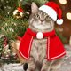 thumbnail image 2 of Conjunto de disfraz de Navidad para gato, diadema con astas de reno, gorro de Papá Noel, bufanda roja, capa para mascota, suministros de Cosplay para perro y gato, 2 of 4