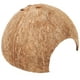 thumbnail image 3 of Decoración de refugio para reptiles, cueva de concha de cocos para reptiles delicados, terrario, cueva escondite natural para reptiles, 3 of 7