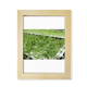 thumbnail image 1 of Las hortalizas cultivadas sin agua Escritorio de madera Arte Pintura 7x9 pies Marco de foto, 1 of 4