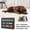 B, variant on Dog Feeding Reminder, Magnetic Refrigerator Sticker, AM/PM Pet Feeding Tracker with "Yes/No" Sliders, Funny Fridge Sign for Home Office Travel Indoor Outdoor