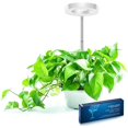 thumbnail image 1 of Grow Light for Indoor Plants, LED Small Grow Light, Height Adjustable Angel Ring Plants Growing Lamp, Full Spectrum, Automatic Timer, 5V Low Safe Voltage, Ideal for Small Plant Light (1 Head), 1 of 6