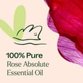thumbnail image 5 of Plant Therapy Rose Absolute Essential Oil 100% Pure, Undiluted, Natural Aromatherapy 10 mL (1/3 oz), 5 of 7