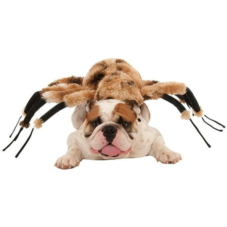 Giant Spider Dog Costume: Small