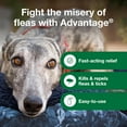 thumbnail image 5 of Advantage Dog Flea Treatment Spray, Kills Fleas & Ticks, Dog Flea Spray, 15 oz, 5 of 9