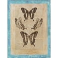 thumbnail image 2 of Vision Studio 15x18 White Modern Wood Framed Museum Art Print Titled - Bookplate Butterflies I, 2 of 4