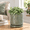 Olive-4 Inch, variant on Graphite Blue 4 Inch Embossed Leaves Ceramic Planter with Tray