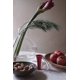 thumbnail image 4 of Stainless Steel Nutcracker - Designed And Produced In - Strong And Resistant Nutcracker - Red Color, 4 of 5