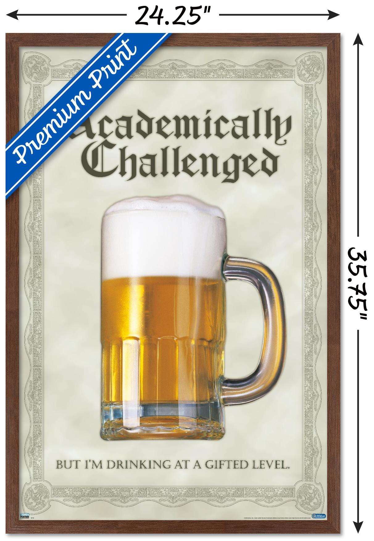 Academically Challenged Wall Poster, 22.375" x 34", Framed