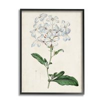 Rustic Garden Floral Study Charming White Blossoms 16 in x 20 in Framed Painting Art Print, by Stupell Home Décor
