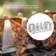 thumbnail image 3 of Soporte para asar de acero inoxidable, parrilla portátil para barbacoa, parrilla múltiple, cocción suave, resistente al óxido, con capacidad para 4 costillas para asar, asar y ahumar, 3 of 5