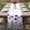 Purple, variant on Table Runner 48 Inches Long for Kitchen Dining, Purple Flowers Dresser Scarf Farmhouse, Dining Table Decorations for Wedding/Parties, Spring Garden Floral Leaves Botanical Country 13 x 48 In