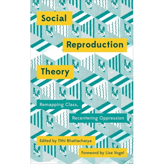Social Reproduction Theory : Remapping Class, Recentring Oppression (Hardcover)