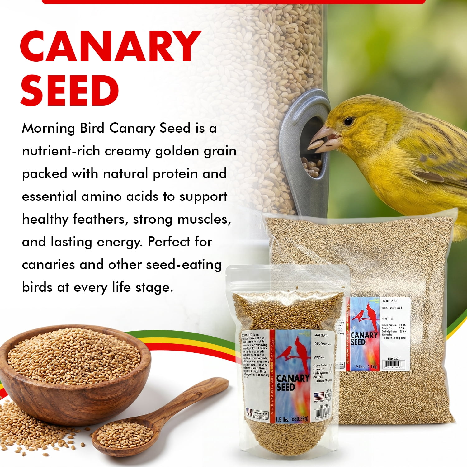 Morning Bird Canary Seed 9 lb – Bird Food for Canaries & Finches – Natural Seed Blend for Healthy Feathers & Daily Nutrition