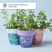 Hello Hobby Terracotta Pot Set, 3-Piece, 2.62 in