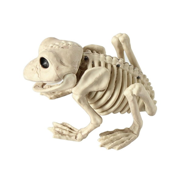 New Animal Skeleton Model Frog Bones Halloween Decoration New Animal Skeleton Model Frog Bones Halloween Decoration