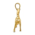 thumbnail image 3 of FJC Finejewelers 10 kt Yellow Gold 3-D Tennessee Walking Horse Charm 34 x 30 mm, 3 of 7