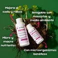 thumbnail image 3 of Nutriente Enraizante Mejorador De Suelo The Real Green 60ml, 3 of 8
