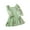 Green, variant on KkSLirnhs Infant Girls Clothes New Printed Long Sleeve Floral Pattern Round Neck Long SleevedDress Green 100