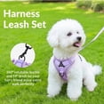 thumbnail image 6 of Exclusivo Mezcla Pet Harness and Leash Set, Adjustable Reflective Walking Dog Harness for Small Dogs, No Pull Soft Mesh Puppy Harness, Purple, M, 6 of 7