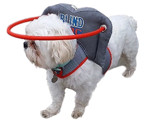 dog halo harness