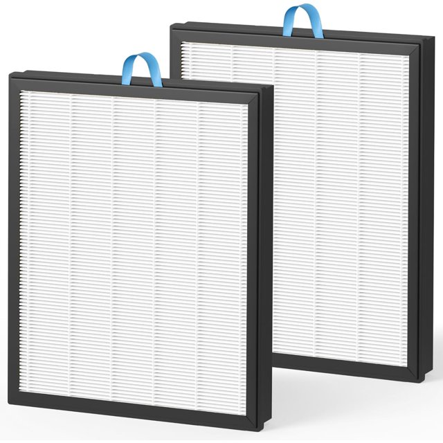 Filfresh Fil-fresh 2 Pack Vital 100S Filtre de Remplacement, Remplacement pour ...