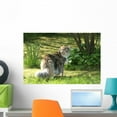 thumbnail image 1 of Cat Maine Coon Walk Wall Mural by Wallmonkeys Peel and Stick Graphic (24 in W x 16 in H) WM49604, 1 of 4