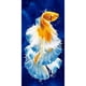 thumbnail image 2 of Cuadros Decorativos Diamante pintura DIY pescado completo taladro redondo pared imagen Ndcxsfigh Nuevos Originales, 2 of 8