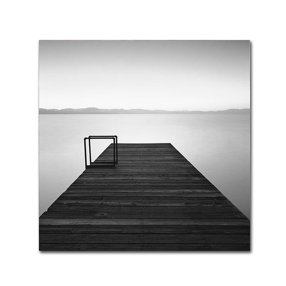 Trademark Fine Art "Cube" Canvas Art by Moises Levy