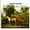 Farmhouse + French Country + Rustic + Brown + Polyresin + Primary Living Space + 120 Volt + Weather Resistant, variant on Divertimenti