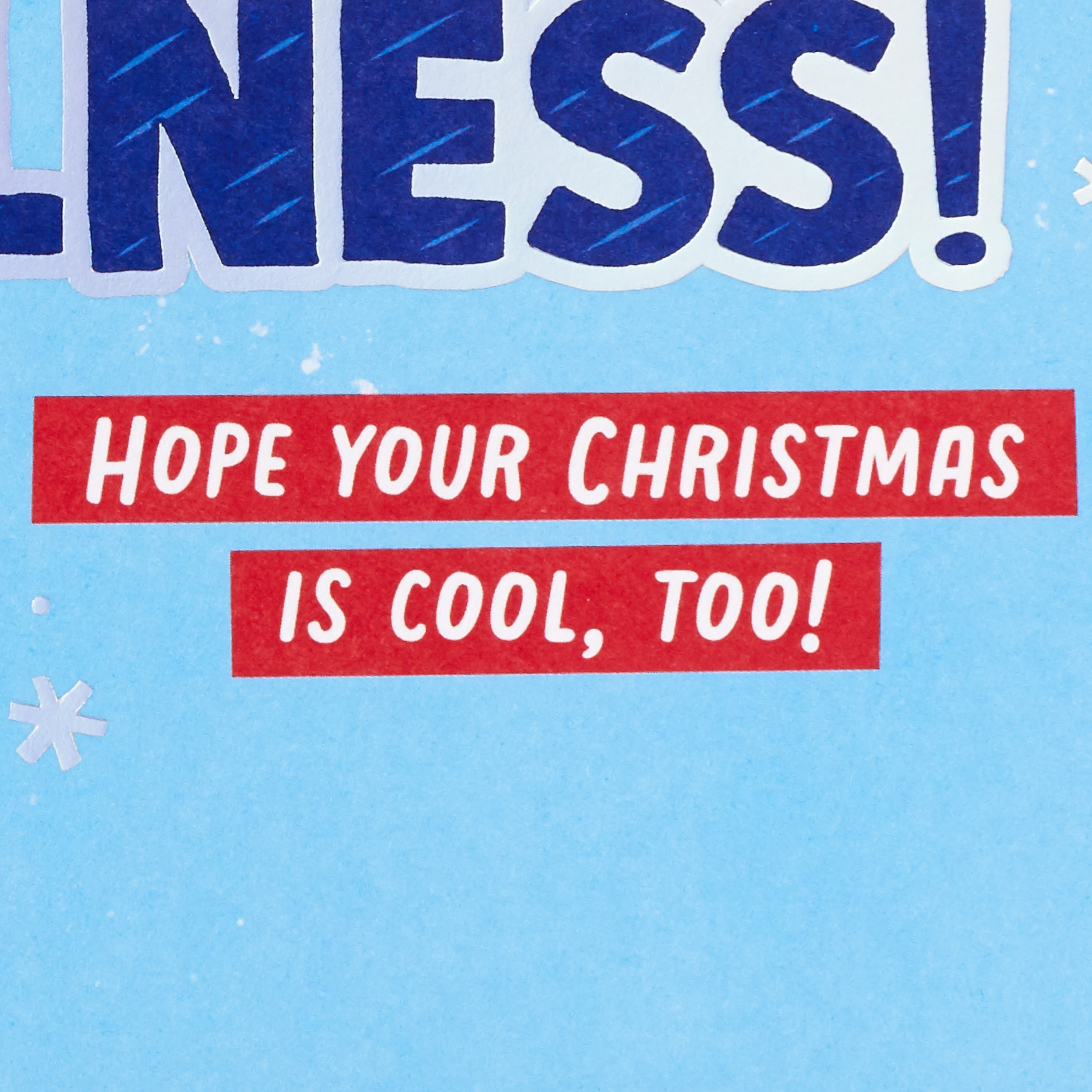 Hallmark Christmas Greeting Card for Grandson (You're Cooler than a Polar Bear)