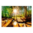 thumbnail image 2 of Tiptophomedecor Peel and Stick Forest Wallpaper Wall Mural - Marvelous Forest - Removable Wall Decals, 2 of 3